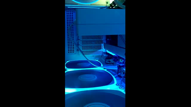 Live stream