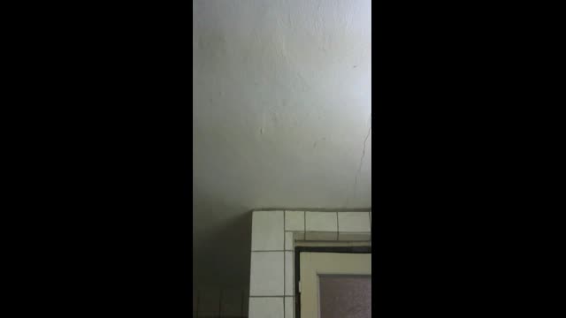 Live stream