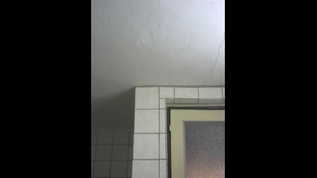 Live stream