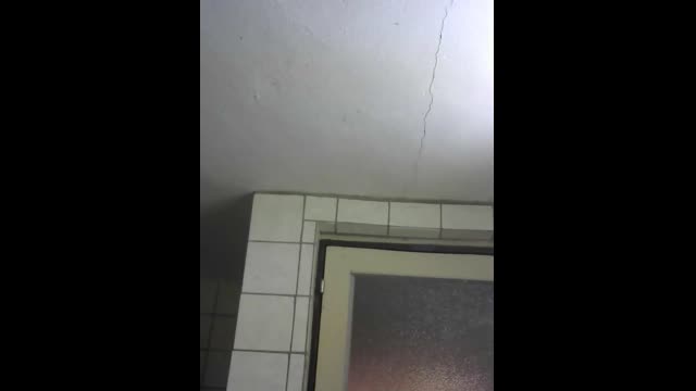 Live stream