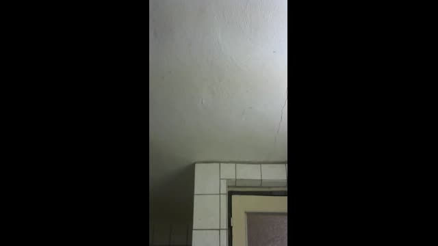 Live stream