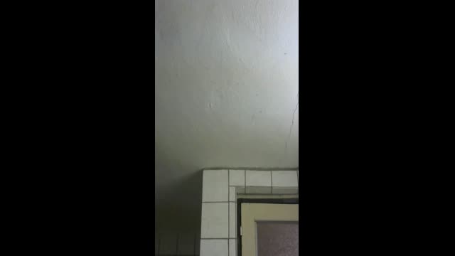 Live stream