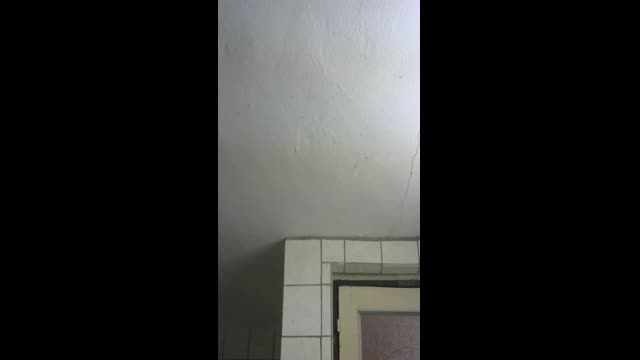 Live stream