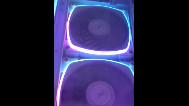 Live stream