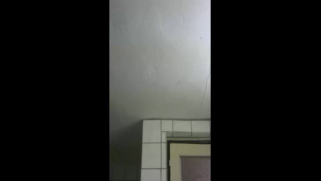 Live stream