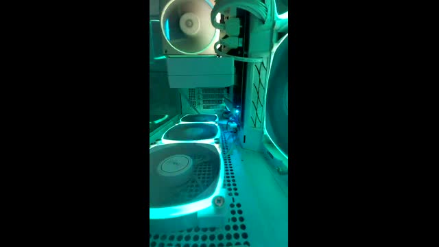 Live stream