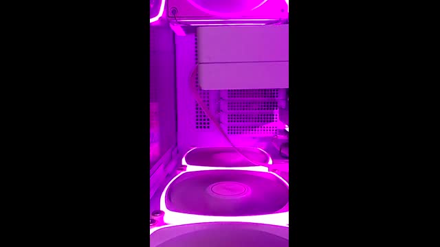 Live stream