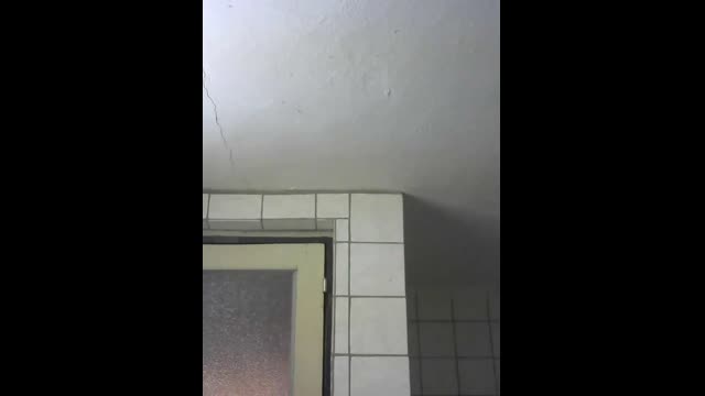 Live stream