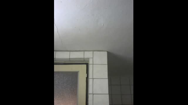 Live stream