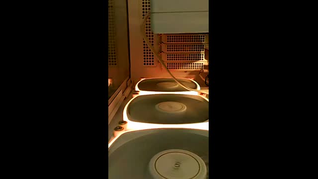 Live stream
