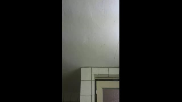 Live stream