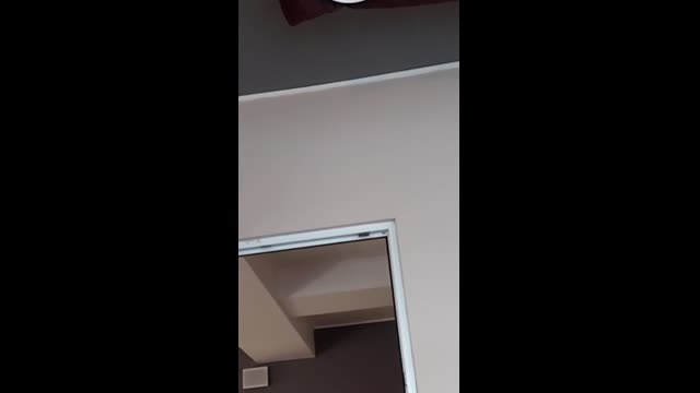 Live stream
