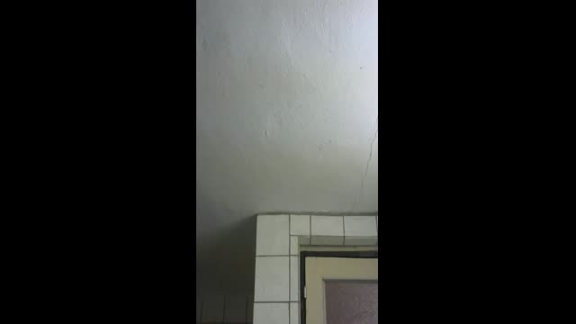 Live stream
