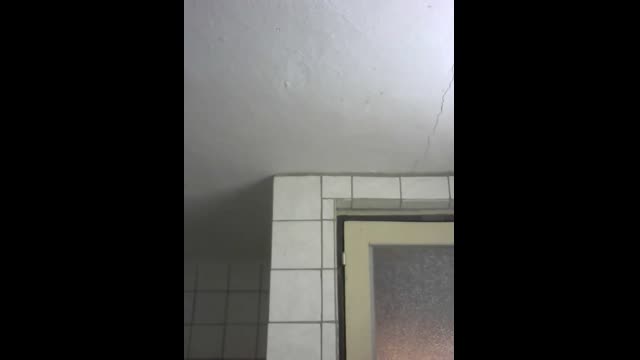 Live stream