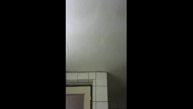 Live stream