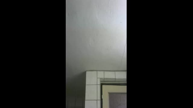 Live stream