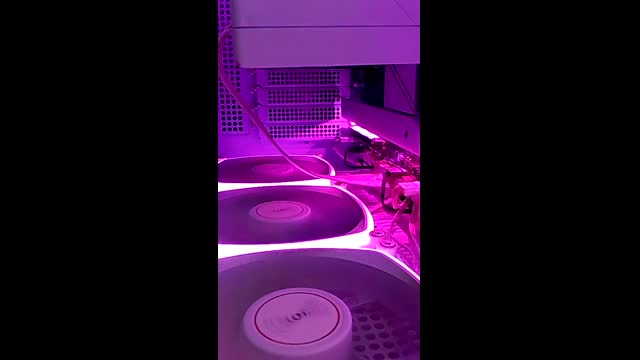 Live stream